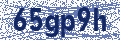 Security code image